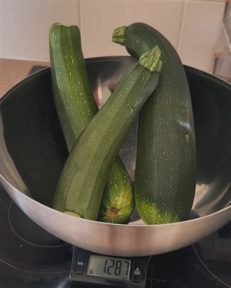 Briialexias: The Leak That Nobody Wanted You To See Image 2