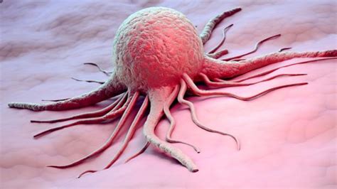 BBC - Earth - How cancer was created by evolution