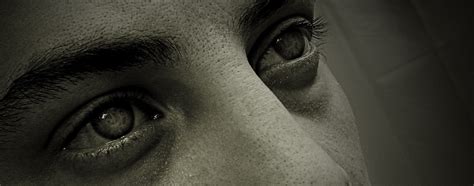 glossy 2 Free Photo Download | FreeImages