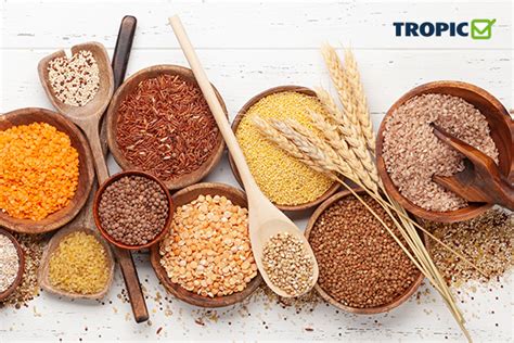 Žitarice - hranjiva osnova svakodnevne ishrane - Tropic