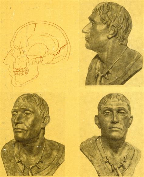 Where do you believe Proto-Indo-European originated? - Page 2