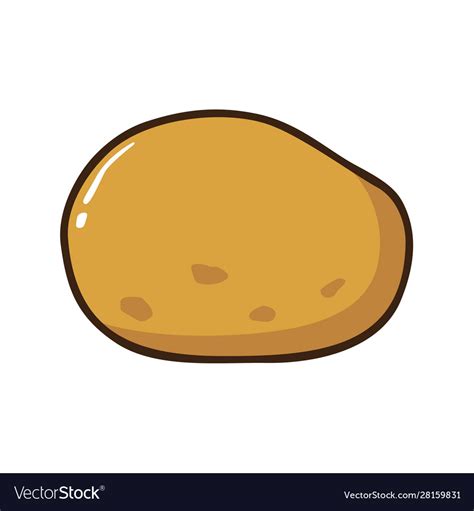potato royalty  vector image vectorstock