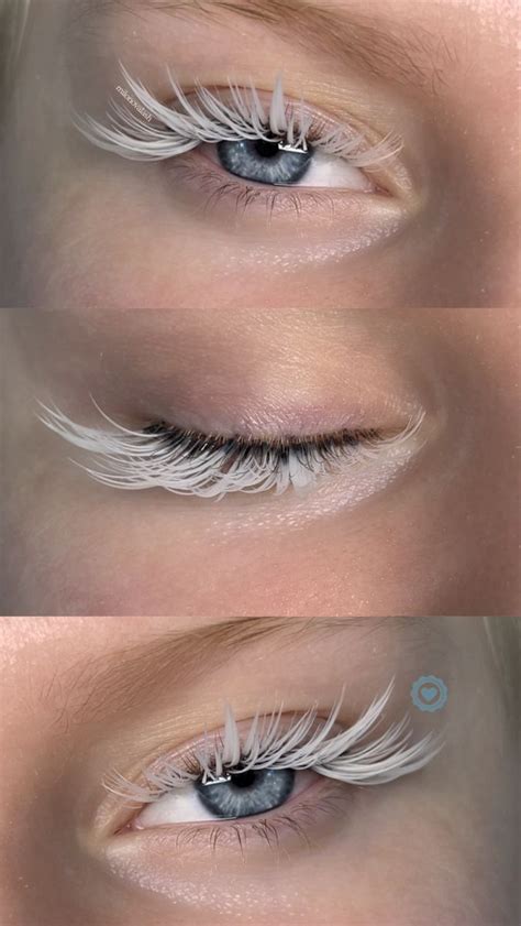 Pin by aminchik55 on Цвет в ресницах | Perfect eyelashes, Eyelash ...
