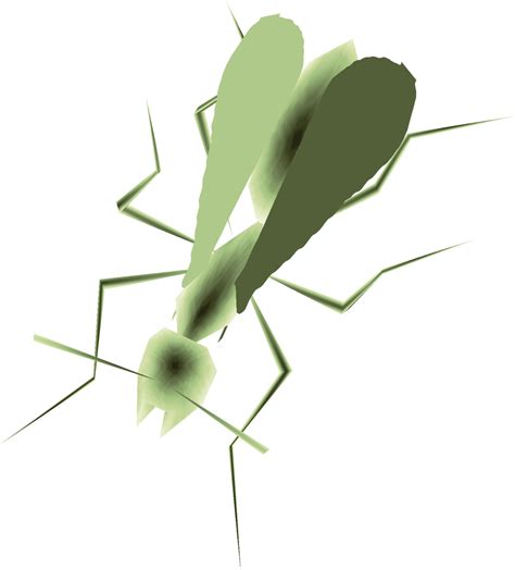 Golden Ant - Zelda Wiki