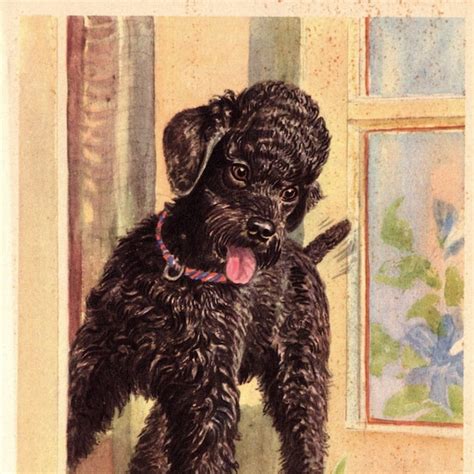 Vintage Poodle - Etsy