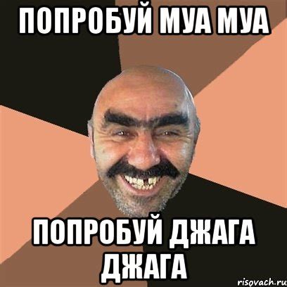 попробуй муа муа попробуй джага джага, Мем Я твой дом труба шатал ...