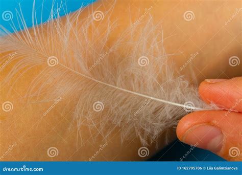 Feather and skin stock photo. Image of hand, cream, white - 162795706