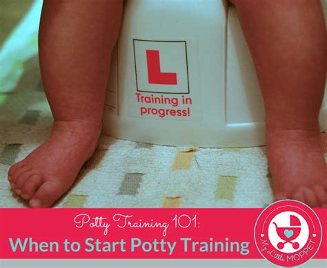 potty training    start potty training   moppet