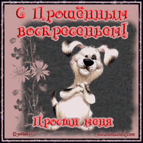 Прикольные открытки поздравления с Прощеным Воскресеньем