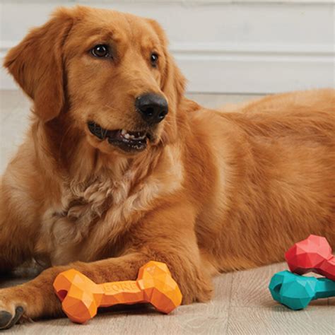 Dog Toys Archives - Chewproof Dog Beds