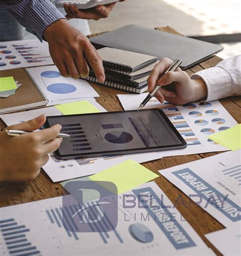 Bellaray Investment Group - Asset and Portfolio Management - Homepage