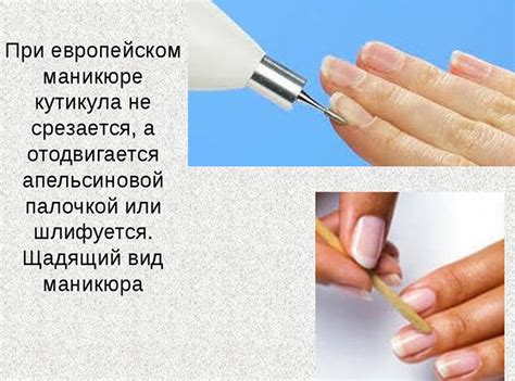 Европейский маникюр. Что это такое, технология выполнения пошагово, фото