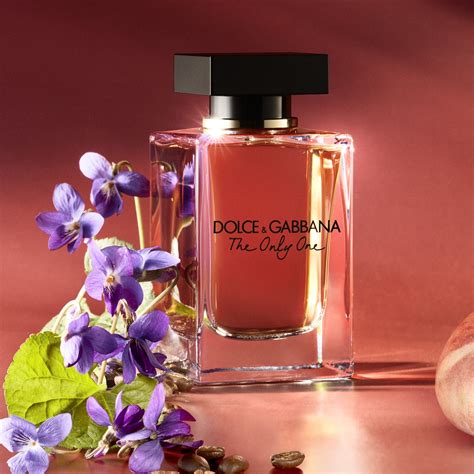 Dolce And Gabbana The One Notes | atelier-yuwa.ciao.jp