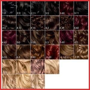 Garnier Olia Hair Color Chart 165075 Amazon Garnier Olia Hair Color 3 0 ...