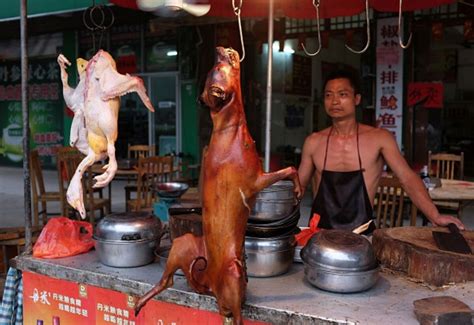 China's Dog Meat Problem - Bloomberg