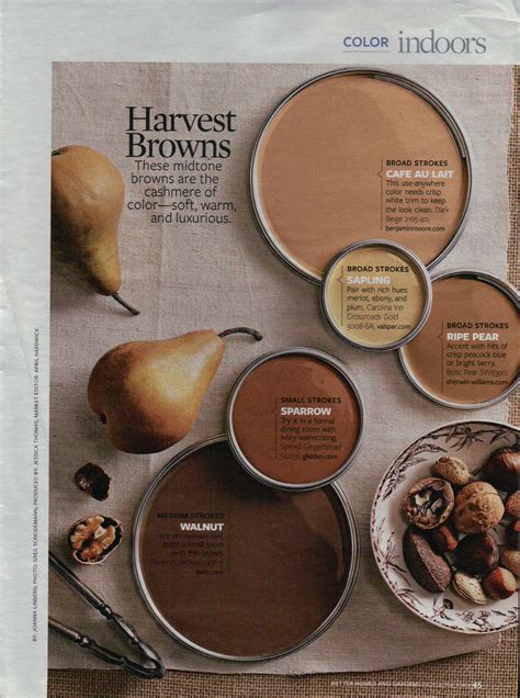chocolate brown paint colors  jo perez blog