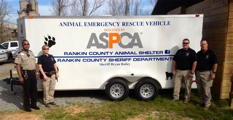 Rankin County Animal Shelter A Sanctuary For Forgotten Friends
