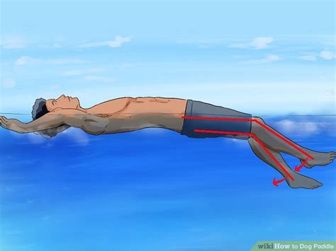 How to Dog Paddle: 13 Steps (with Pictures) - wikiHow