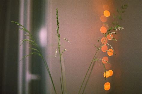 Andrey Timofeev | Flickr