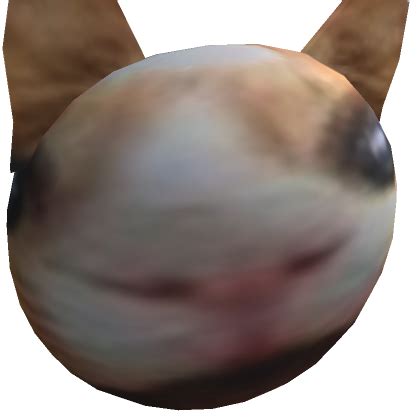 Cat - Roblox