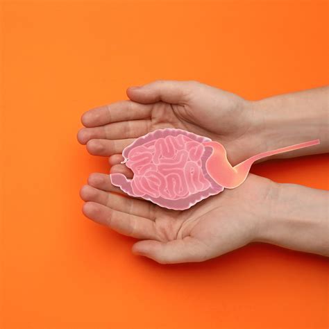 Gut Health: How To Look After Your Gut