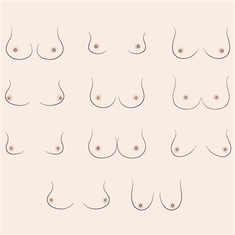 shape  breast   types  breast shapes