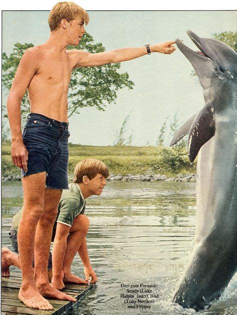 47 Flipper tv show ideas | flipper, tv, classic tv