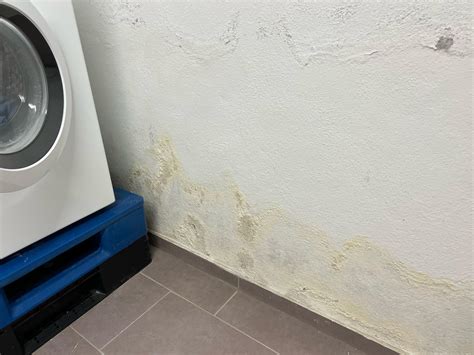 Feuchtigkeitsflecken an Kellerwänden – Ursachen erkennen und richtig s