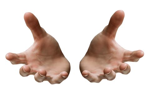 Рука png на прозрачном