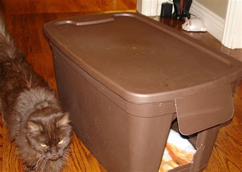 Simple Cat Shelter for Alex - Homeless to Housecats