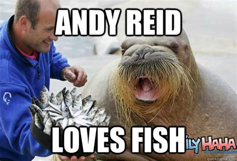 andy reid loves fish - reid walrus fish - quickmeme