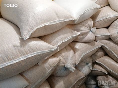 царевица в Крави в с. Ягодово - ID21286472 — Bazar.bg