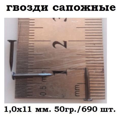 Гвозди 1 x 11 мм 690 шт 0.05 кг купить по низкой цене в интернет ...