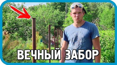 СДЕЛАЛ ЗАБОР ПО УЧАСТКУ НА ВЕКА. НО ЭТО НЕ ТОЧНО... - YouTube