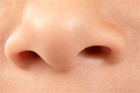 Nariz Vermelho E Inchado - Rosto Inchado: O Que Pode Ser? | Saúde – Blog OPAS