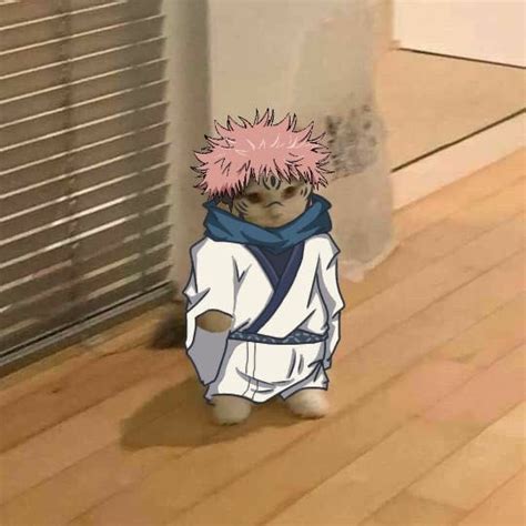 Jujutsu Kaisen on Twitter: "Follow for more jujutsu kaisen tweets 👌…