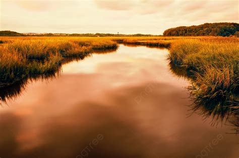 Grassy Landscape At Sunset Photo Background And Picture For Free ...