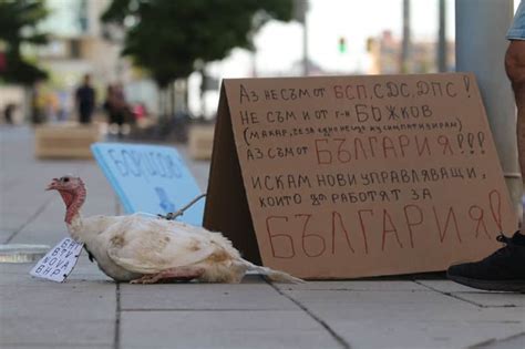 Мисирка на площада - МИГNews – Новините без цензура