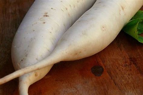 season daikon  kitchn