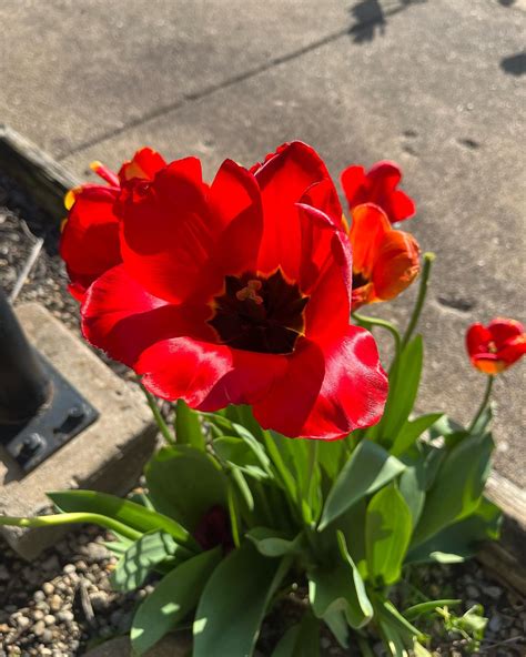 Destiny Monique (@destinymonique____) • Instagram photos and videos