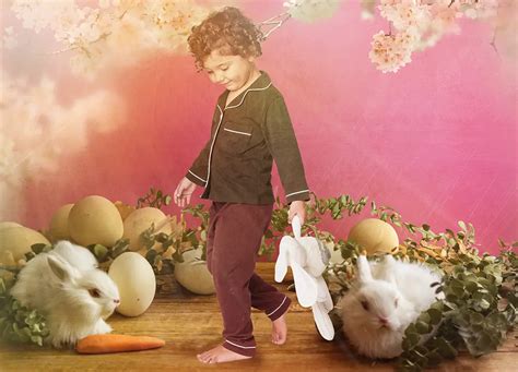 Easter Bunny Backgrounds | Download 5 Free Cute Backgrounds