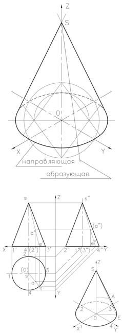 Сечения конуса