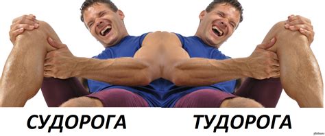 типа про судака | Пикабу