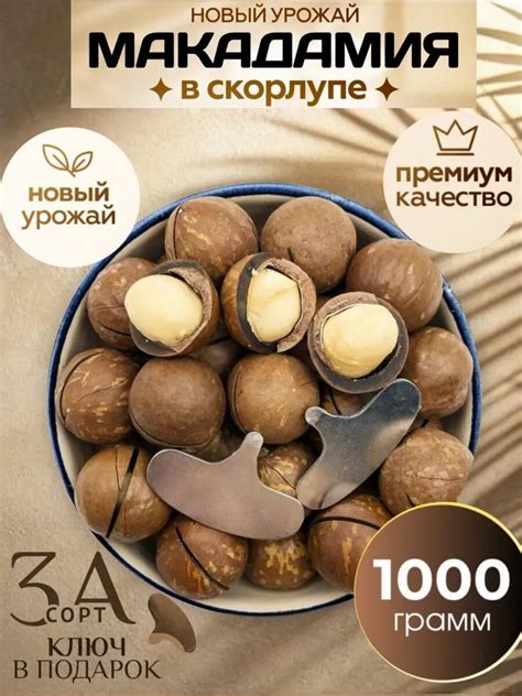 Орехи Макадамия Royal Nuts в скорлупе + ключ в комплекте 1 кг — отзывы ...
