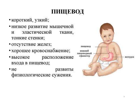 Характеристика пищеварительной системы детей. Обследование желудочно ...