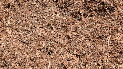 Leaf Mulch – Thomson Landscape Supplies – building and landscape