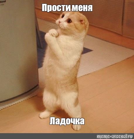 Meme: "Прости меня Ладочка" - All Templates - Meme-arsenal.com