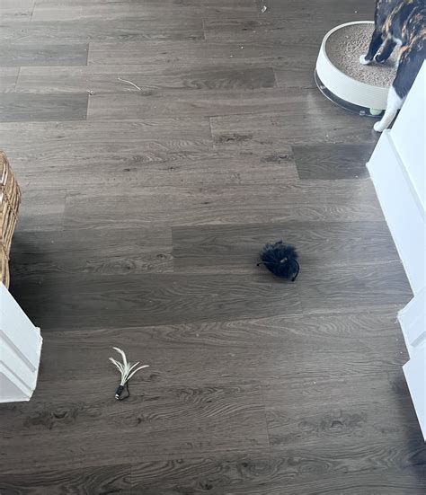 Notable AvaGG 💀 on Twitter: "What I wake up to outside my door when I