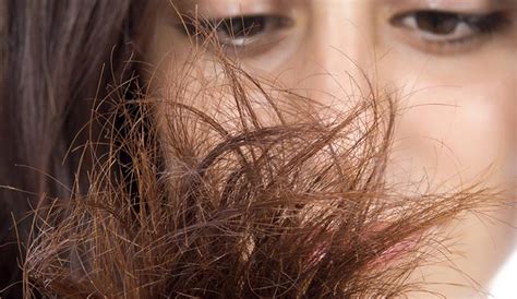 Care tips for Dry Hair
