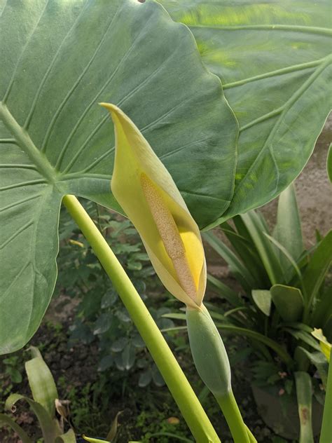 Lolsonly - Best photos on dibujosparaimprimir.net